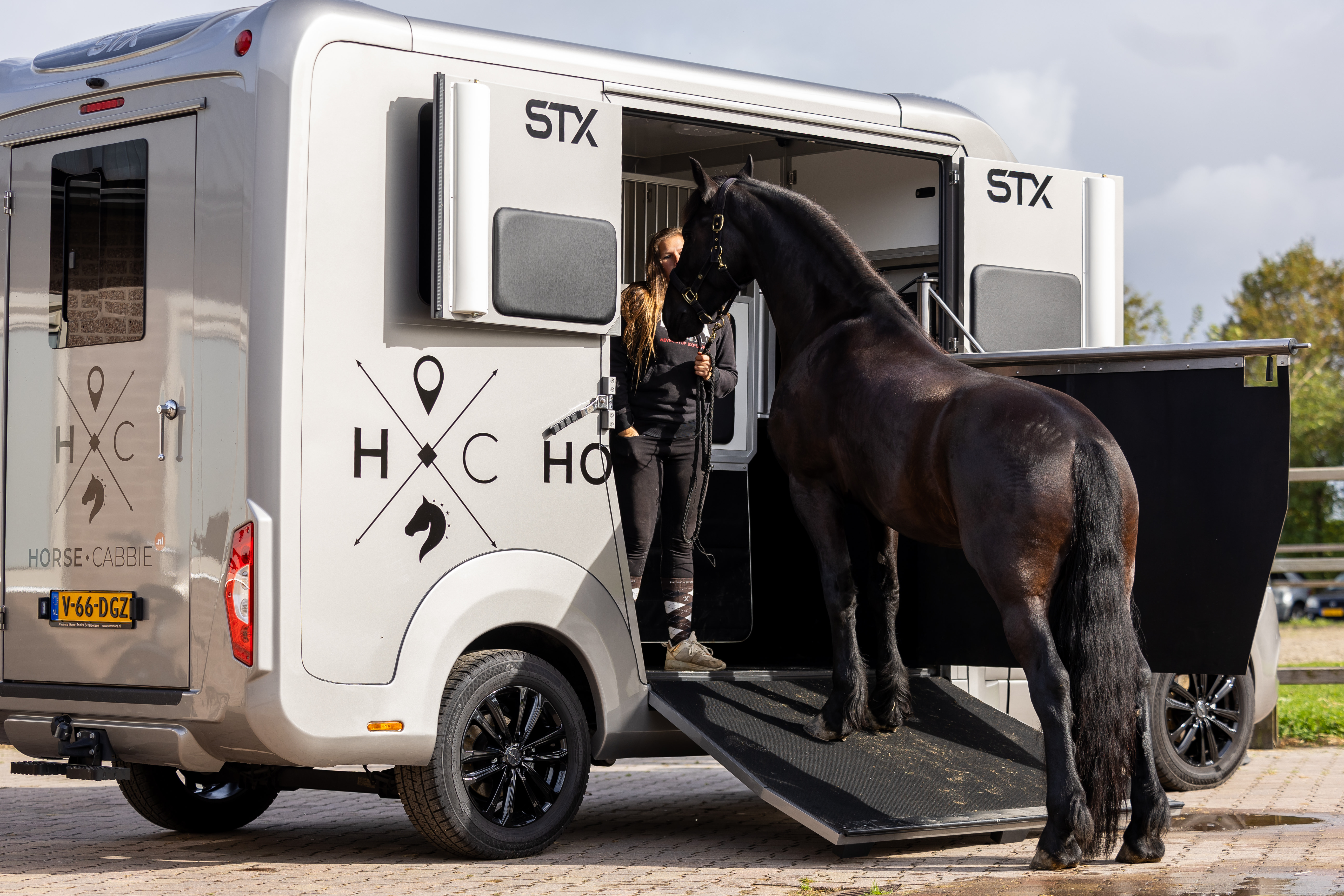 Paard wordt geladen op paarden wagen